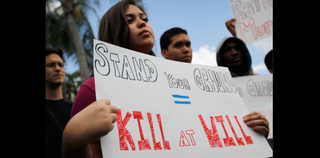 An anti-"Stand your ground" protester (Joe Raedle/Getty Images)